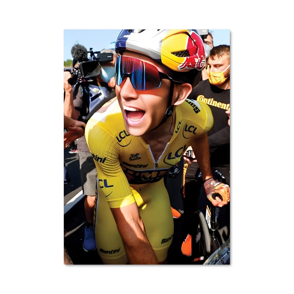 Poster Wout van